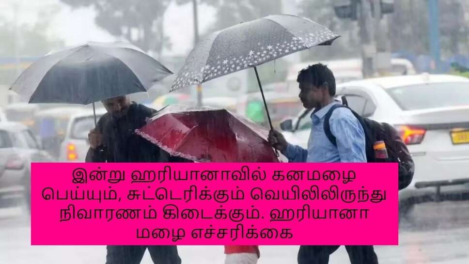 இன்று ஹரியானாவில் கனமழை பெய்யும், சுட்டெரிக்கும் வெயிலிலிருந்து நிவாரணம் கிடைக்கும். ஹரியானா மழை எச்சரிக்கை