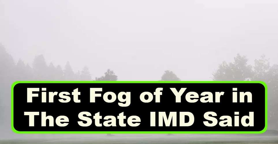 First Fog of Year in The State, IMD Said