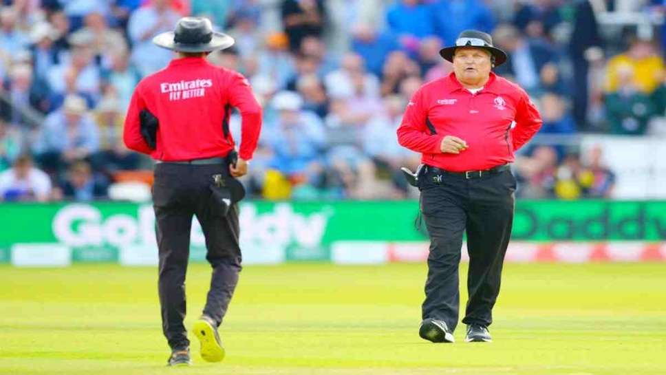 How To Become Cricket Umpire In India: Umpire Gets So Much Money For Standing in a Match, Know Full infromatoin