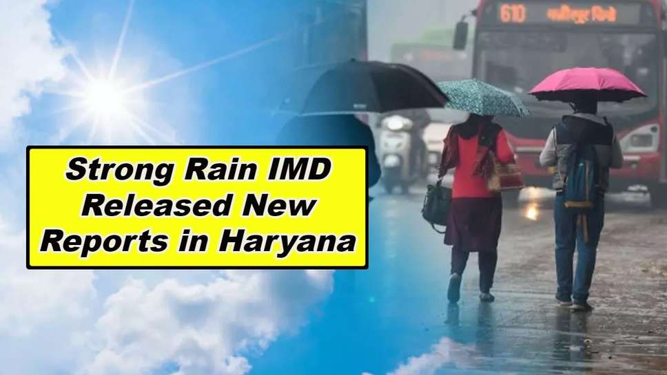 Upcoming rain in haryana, Monsoon in Haryana 2023, Rain alert in Haryana today, Imd, Weather Today, Rain in Haryana tomorrow, Weather 10 days