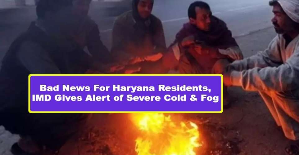Bad News For Haryana Residents, IMD Gives Alert of Severe Cold & Fog