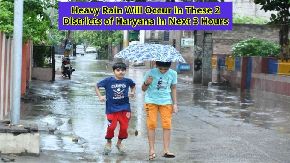 Heavy Rain Will Occur in These 2 Districts of Haryana in Next 3 Hours