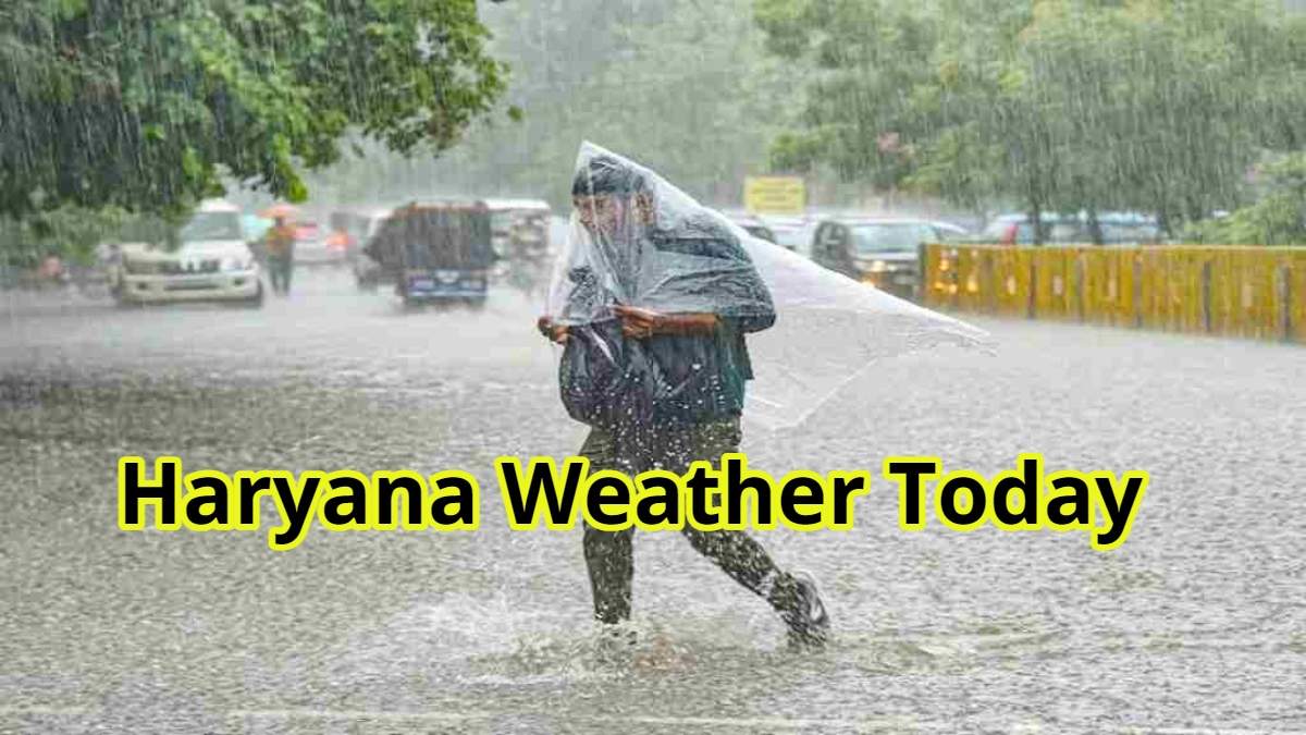 Haryana Weather Today: It Will Rain In These 4 Districts Of Haryana ...