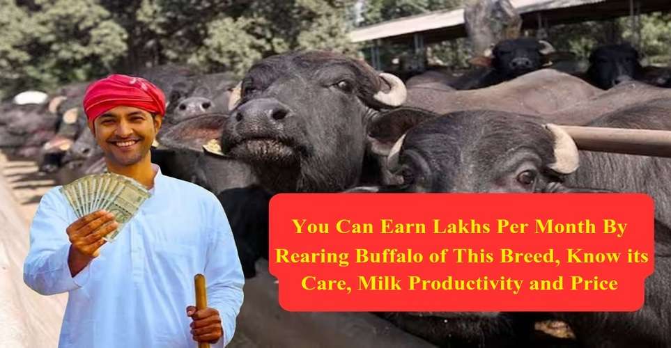 Care, Milk Productivity and Price