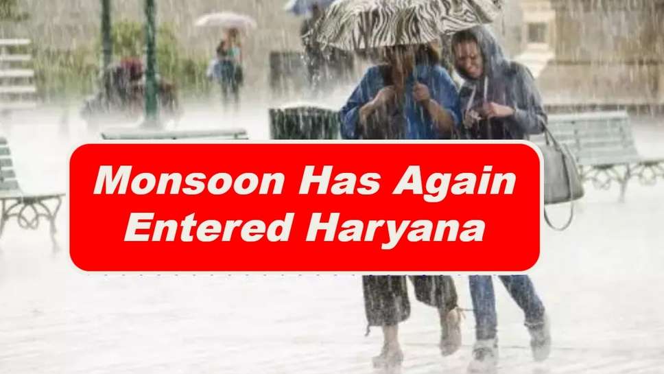 Monsoon Has Again Entered Haryana