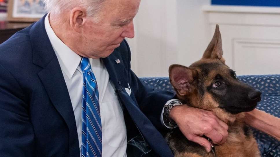 President Biden's Dreaded Dog 'Commander' is OUT From White House, Has Made 11 People Victims So Far