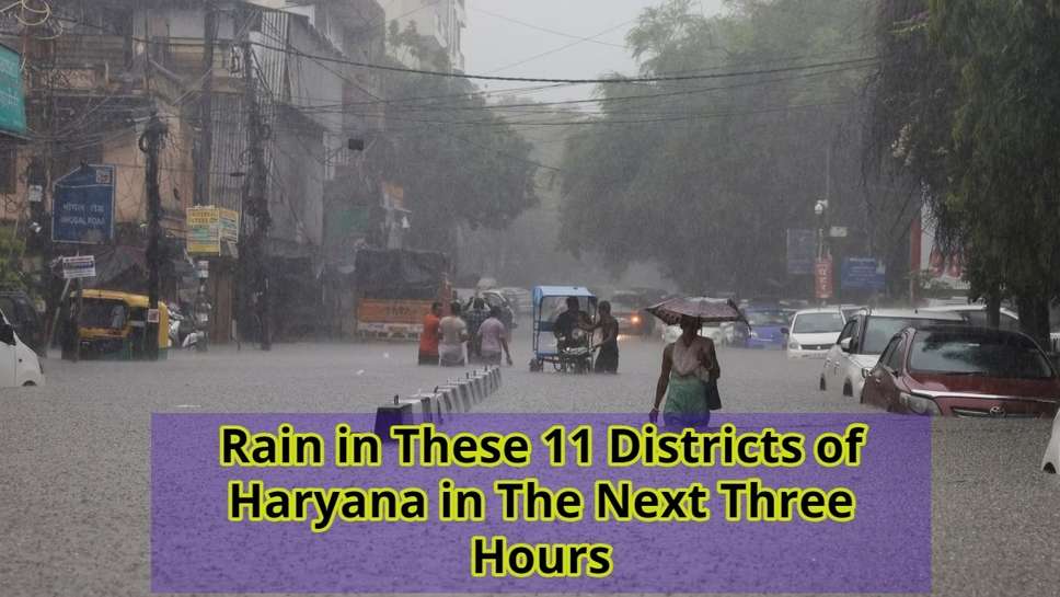 Rain in These 11 Districts of Haryana in The Next Three Hours