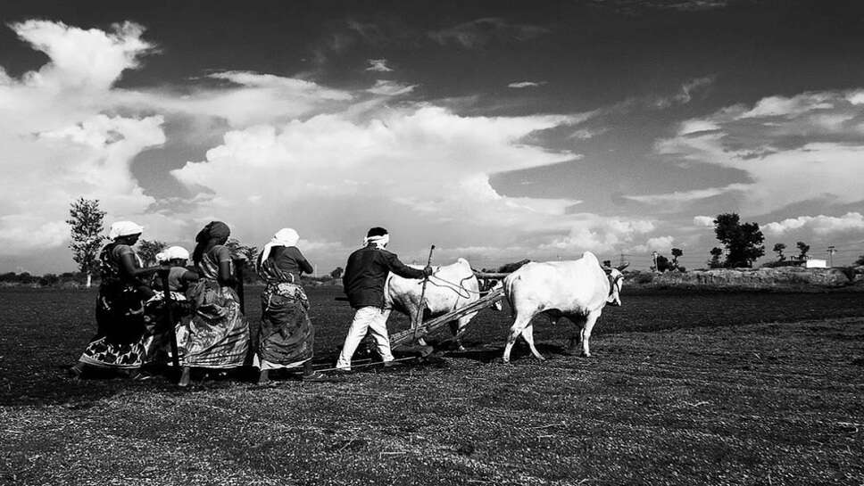 farmers debt freedom