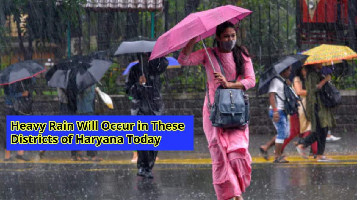 Haryana Weather: Heavy Rain Will Occur In These Districts Of Haryana ...