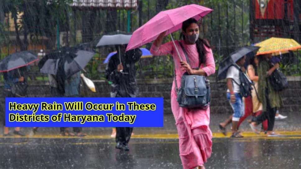 Heavy Rain Will Occur in These Districts of Haryana Today