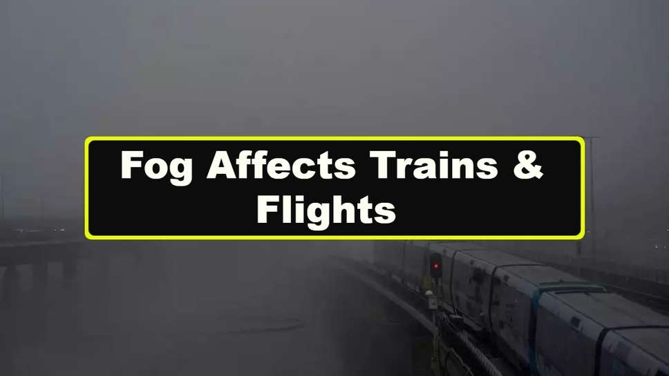Weather Effect: Fog Affects Trains & Flights