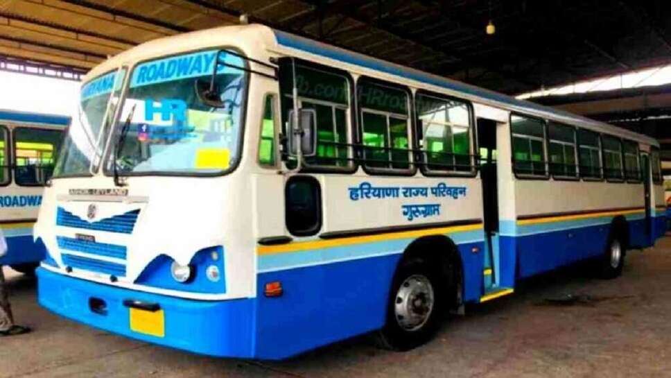 rajasthan roadways recruitment 2023, rajasthan roadways recruitment, haryana roadways recruitment 2023, punjab roadways recruitment 2023, up roadways recruitment 2023, chandigarh roadways recruitment 2023, haryana roadways conductor recruitment 2023, rsrtc roadways apprentice recruitment 2024, punjab roadways recruitment 2023 apply online, punjab roadways recruitment 2023 freejobalert