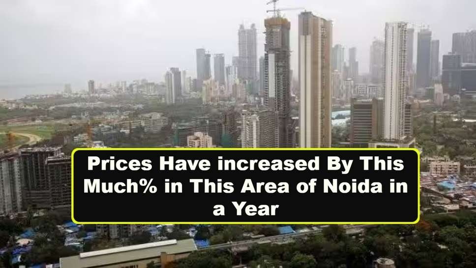 Prices Have increased By This Much% in This Area of Noida in a Year, Know Today's New Rates