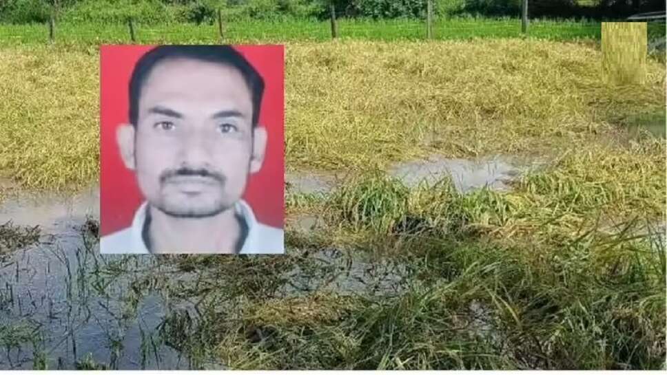 He asked Mill-wheel, Will you help me find him Mill-wheel said, Will he ride back with me reported speech He said to Mill-wheel, Do you think the fawn is still there Farmer sold everything for son Update Penny said do you really want it son indirect speech Combined Technical Services Examination (Non Interview Posts 2025) TNPSC Combined Technical Services Examination (Non Interview post Result) The fawn wobbled after him transitive or intransitive