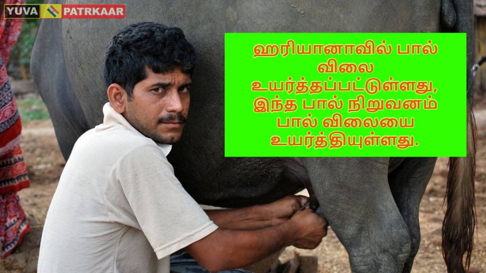 ஹரியானாவில் பால் விலை உயர்த்தப்பட்டுள்ளது, இந்த பால் நிறுவனம் பால் விலையை உயர்த்தியுள்ளது.