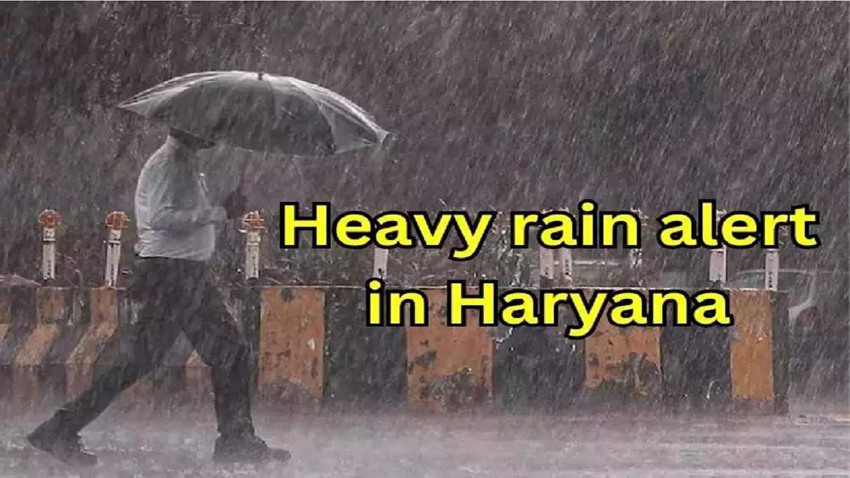 Haryana Weather Forecast: With Cold in Haryana Now People Should Be ...