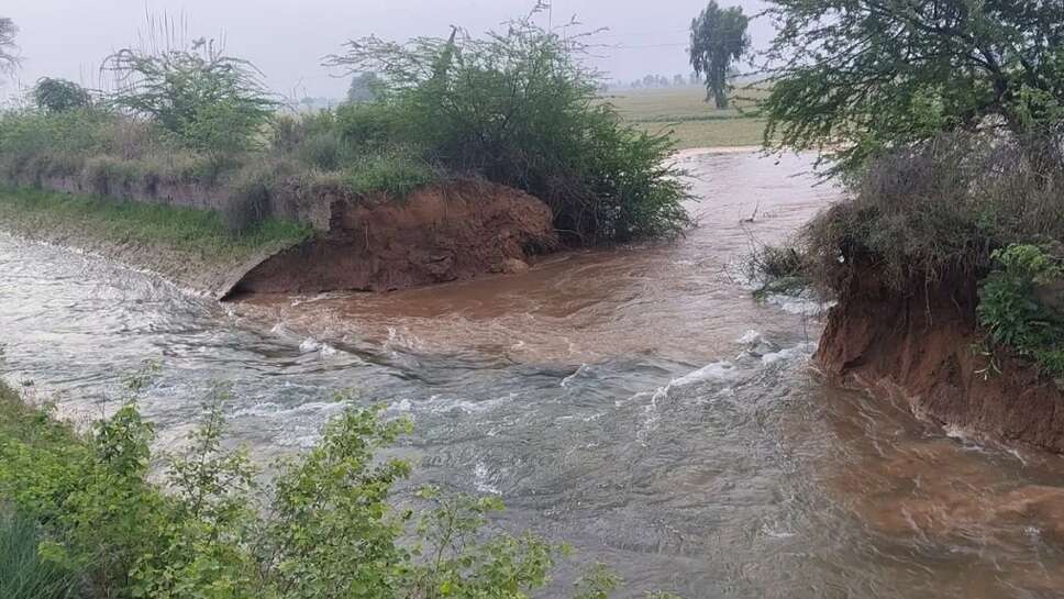 There was an uproar due to the breaking of Baruwali canal in Sirsa; Farmers Left in Distress, Demands for Compensation Begin to Rise.