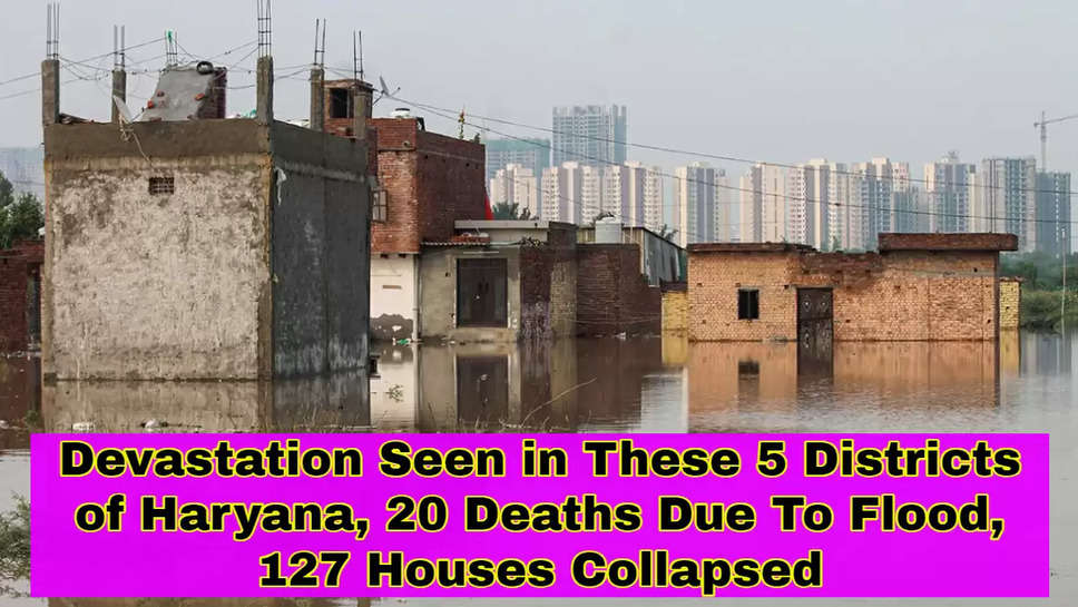 Devastation Seen in These 5 Districts of Haryana, 20 Deaths Due To Flood, 127 Houses Collapsed