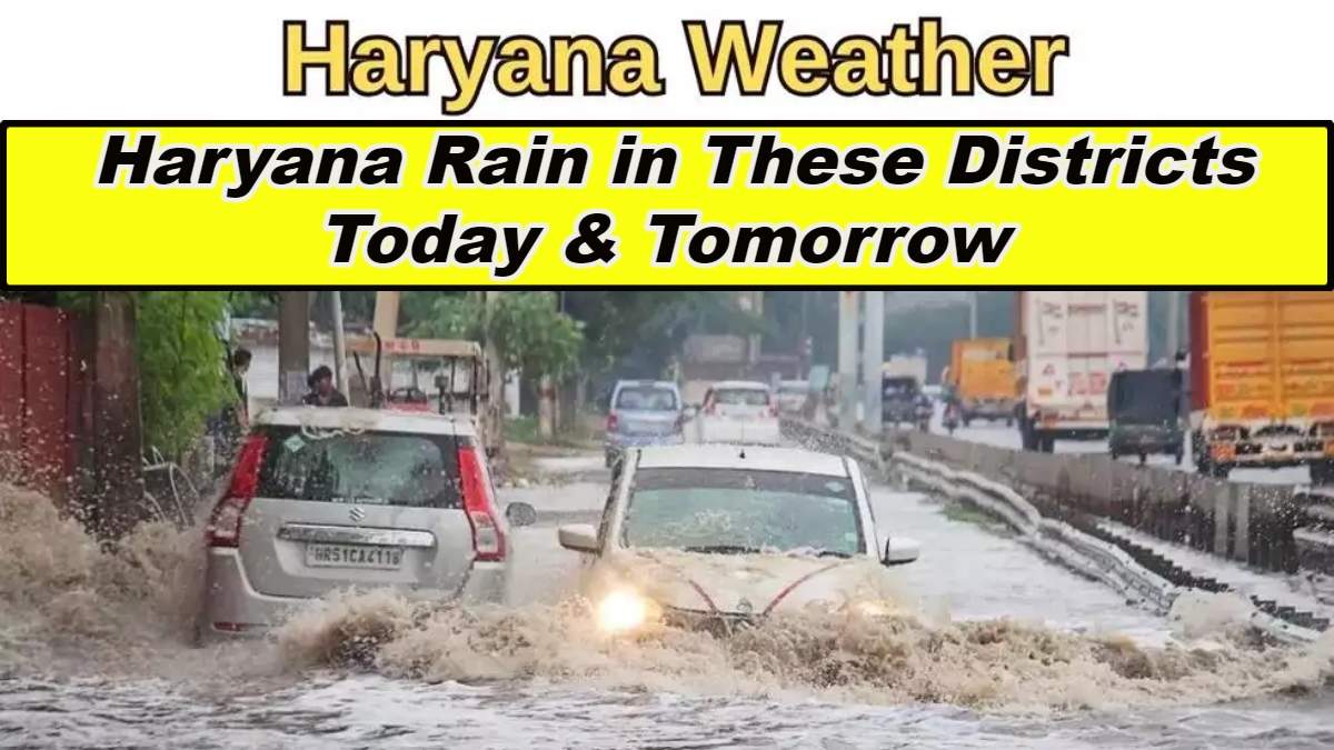 Haryana Weather: There Will Be Light Rain In These Districts Today ...