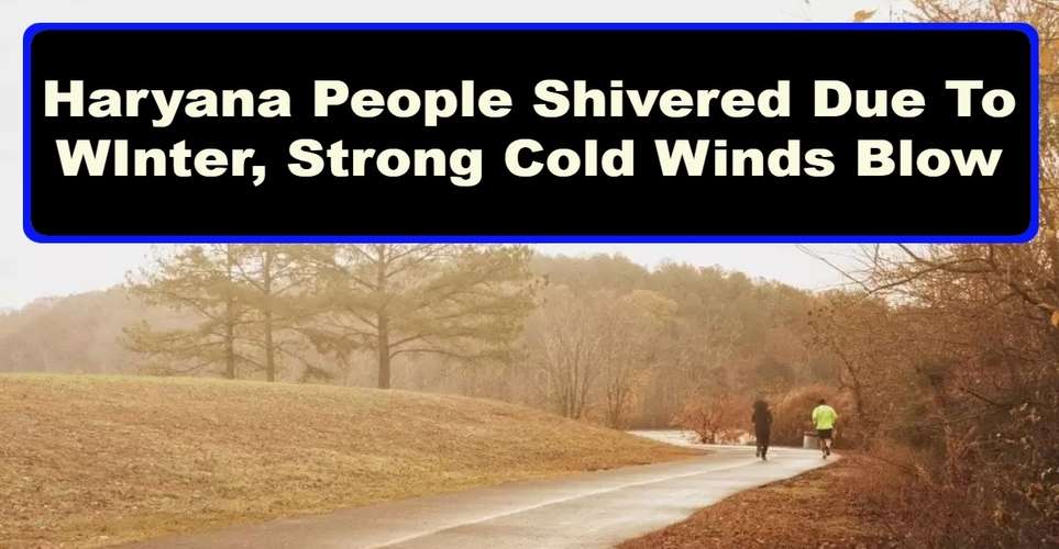 Haryana People Shivered Due To WInter, Strong Cold Winds Blow