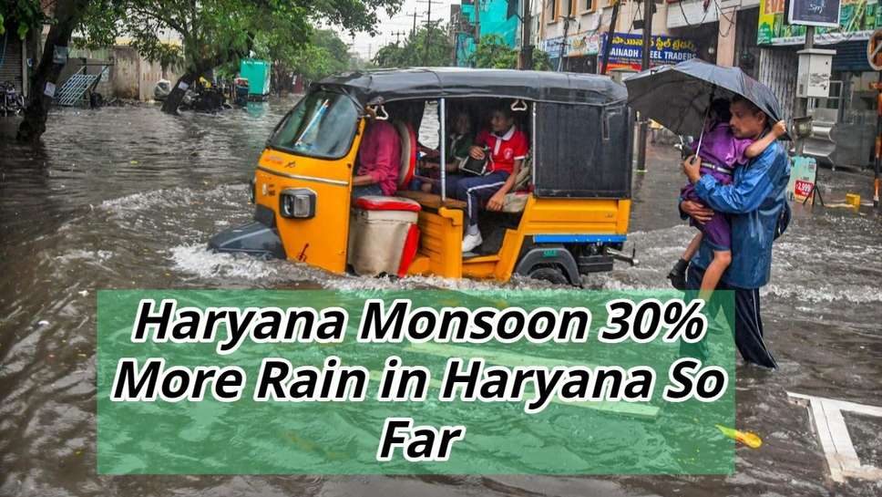 Haryana Monsoon: 30% More Rain in Haryana So Far, Maximum impact in This District