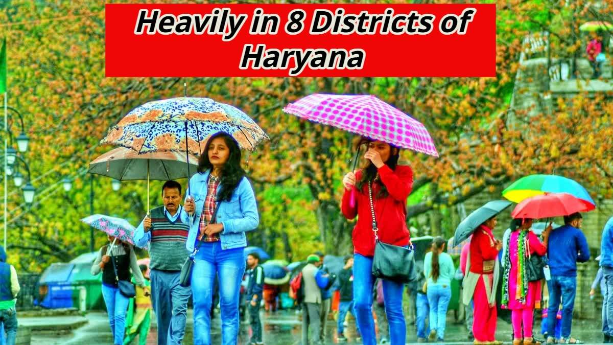 Heavily in 8 Districts of Haryana