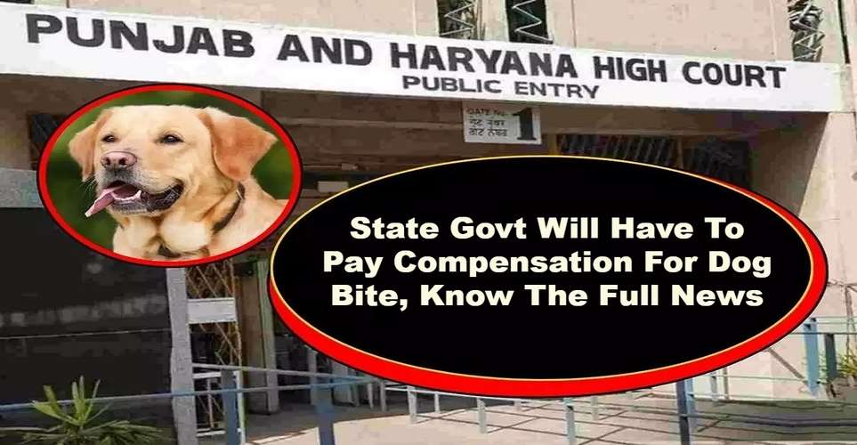 State Govt Will Have To Pay Compensation For Dog Bite, Know The Full News
