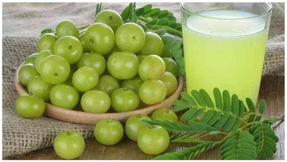 Gooseberry: These Big Benefits of Eating Gooseberry in Winter Season, Even You Will Not Believe After Hearing Truth