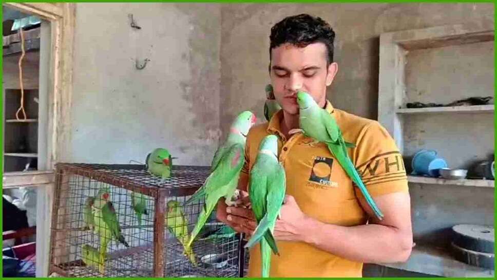 nuh news today, nuh news,  nuh news update, nuh news today live, nuh news today,  nuh news live, nuh news latest, nuh news today live, nuh news what happened