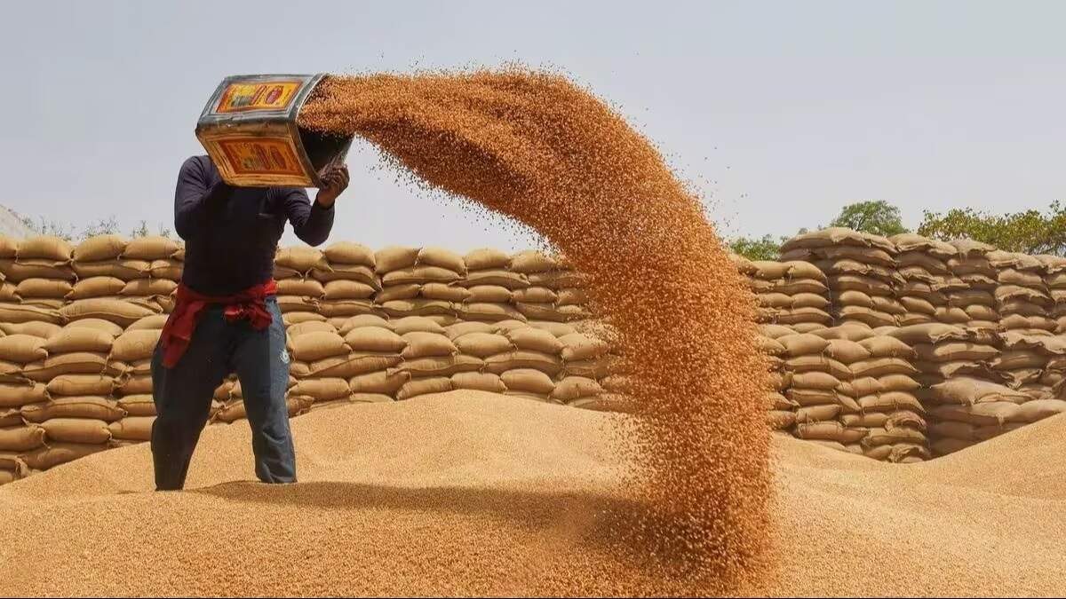 UP Wheat Procurement 2024