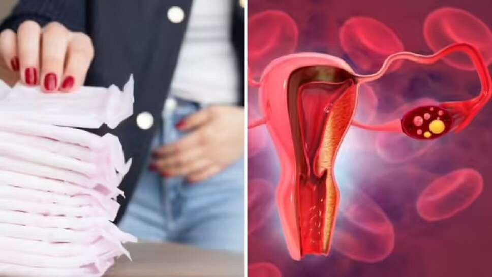 The girl hasn't had her period for several months, the truth the doctor told her is shocking, what are the reasons for not having her period?