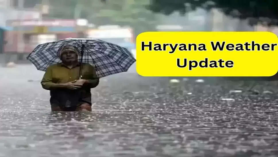 Moderate To Heavy Rain Will Occur in Different Districts of Haryana For The Next Three-Four Days, The Name of The Districts Have Been Released By The Meteorological Department