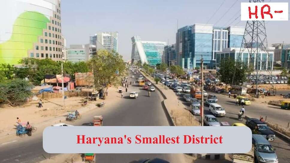 Haryana's smallest district
