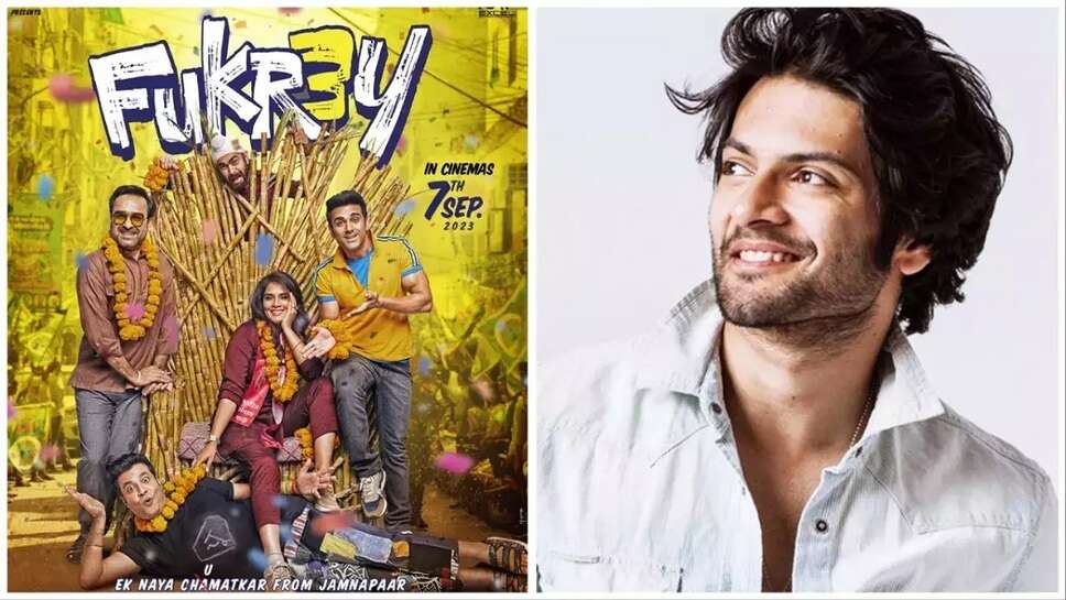 Ali Falaj Aka Zafar's Entry in Fukrey 3, Actor Will Be Seen Giving Guest Appearance in The Film