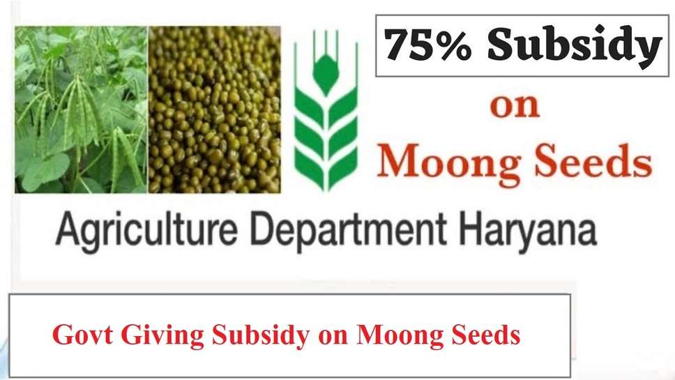 Govt Giving Subsidy on Moong Seeds