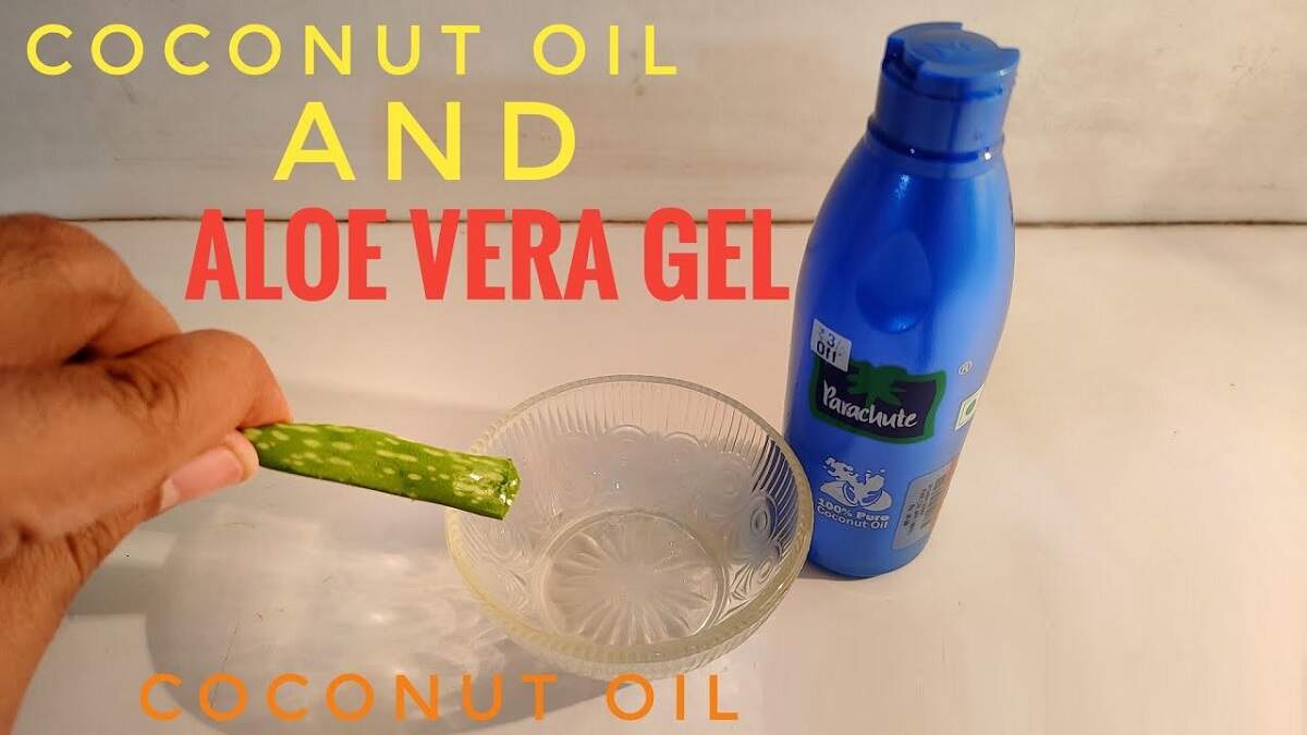 Benefits of applying aloe vera gel mixed with coconut oil It is very important to take care of the hair along with the face. Due to not taking care of hair, they become dry and lifeless. Coconut and aloe vera gel are very beneficial for hair. Helps in eliminating many hair problems from the roots.