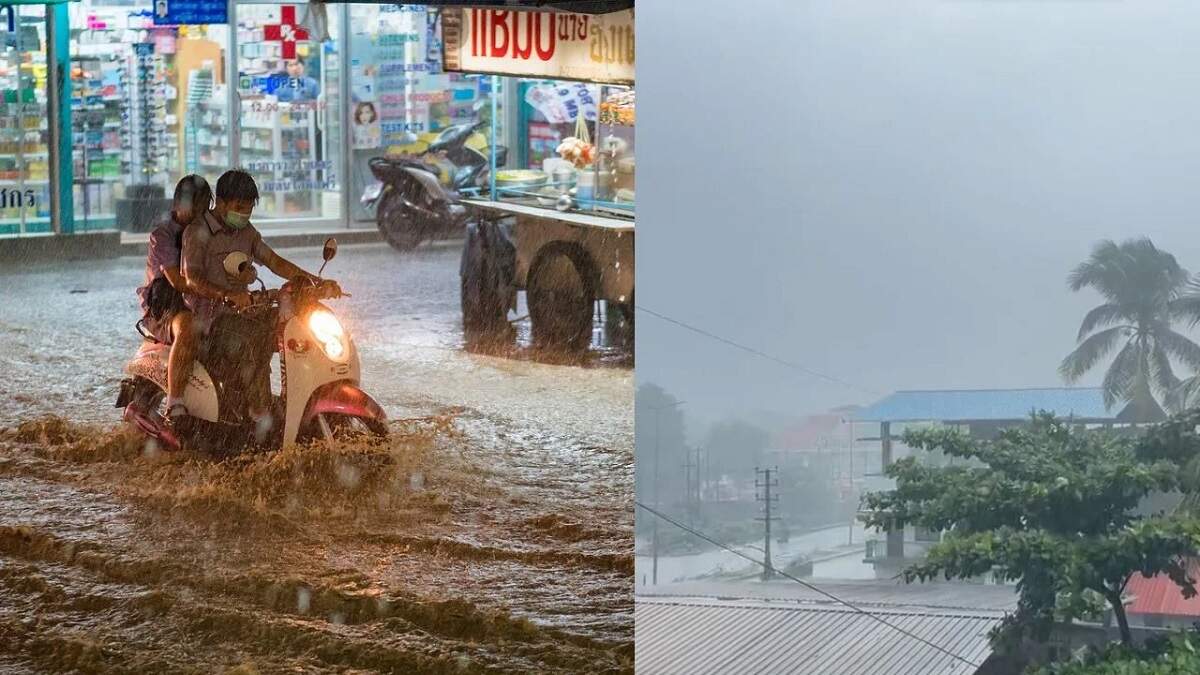 Rain alert in Punjab today, Red alert weather today, Rainfall alert today, Red alert in Punjab today, Imd, Rain alert in India today, Weather alert in Punjab today, Upcoming rain in haryana