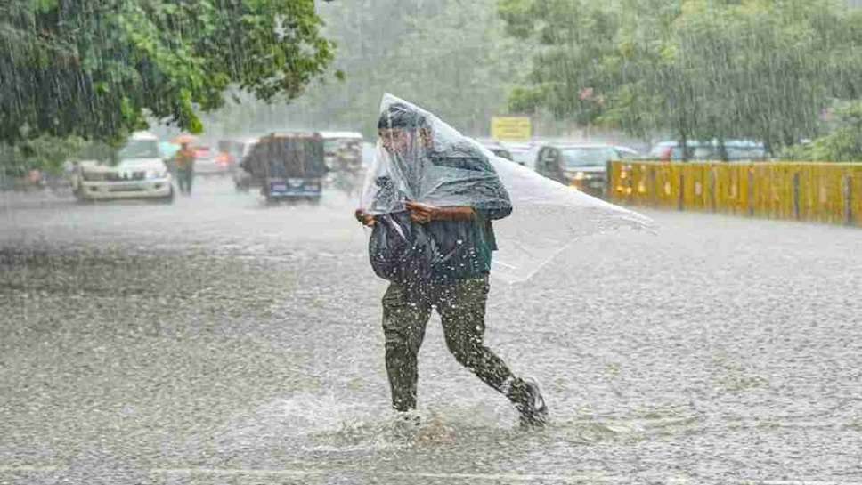 Heavy Rain in Many Districts of Haryana