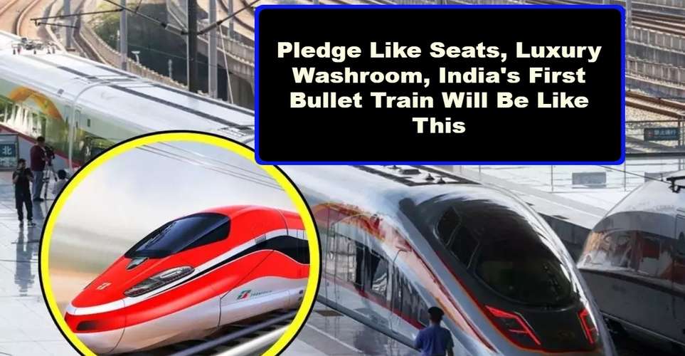 Pledge Like Seats, Luxury Washroom, India's First Bullet Train Will Be Like This