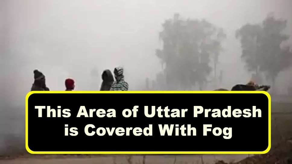 This Area of Uttar Pradesh is Covered With Fog