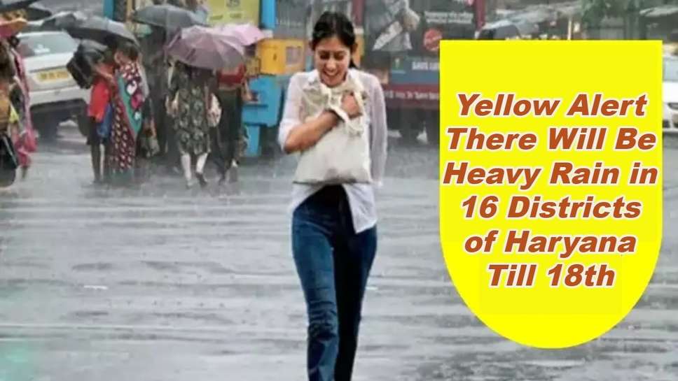 Yellow Alert, There Will Be Heavy Rain in 16 Districts of Haryana Till 18th