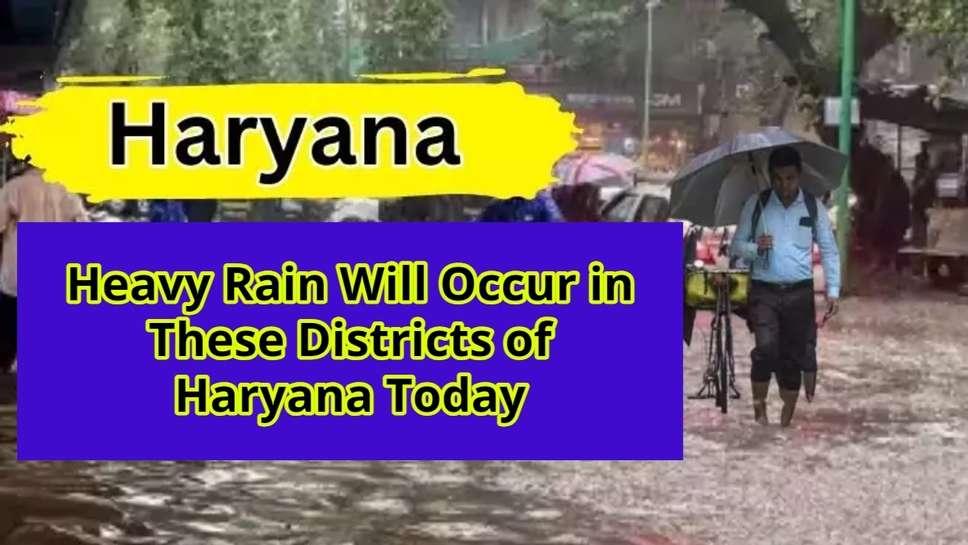 Heavy Rain Will Occur in These Districts of Haryana Today