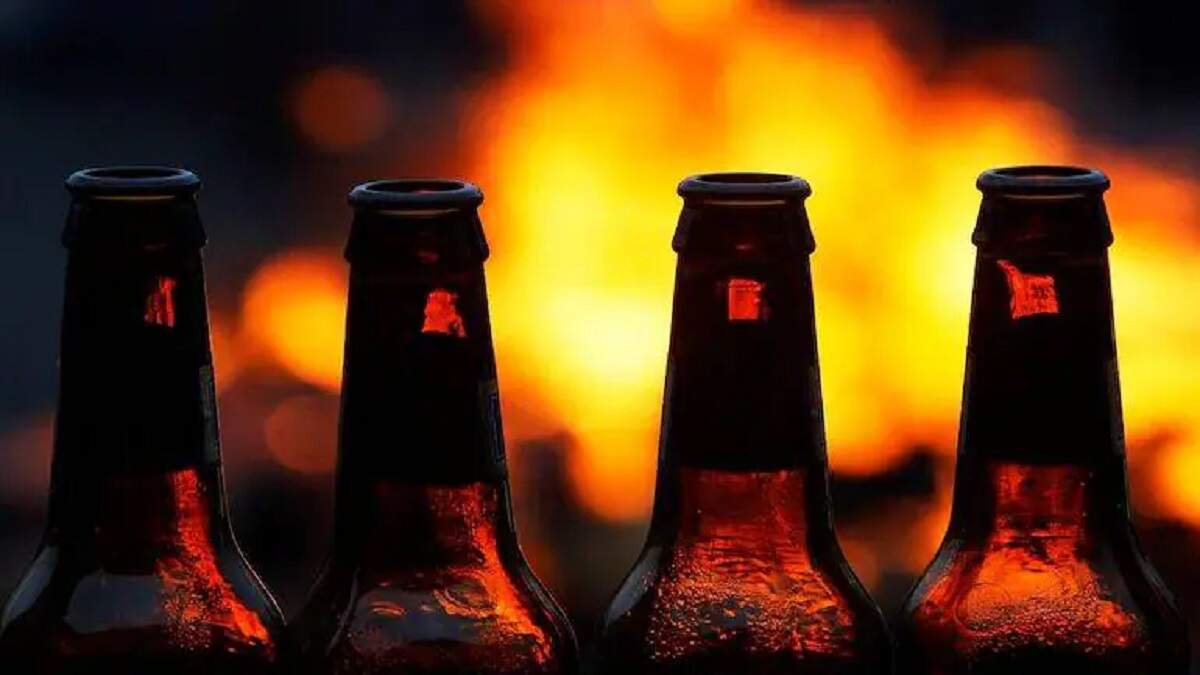 Beer Price, Beer Price Down, New Beer Price, Today Beer Price