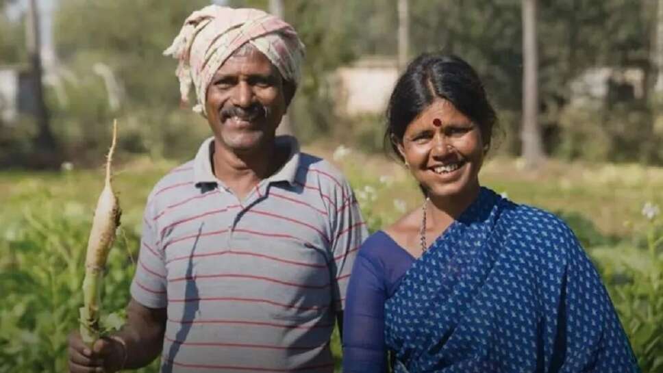 ஹரியானாவின் சிர்சா மண்டியின் சமீபத்திய விலைகள், அனைத்து பயிர்களின் புதிய விலைகளைக் காண்க சிர்சா மண்டி பாவ்