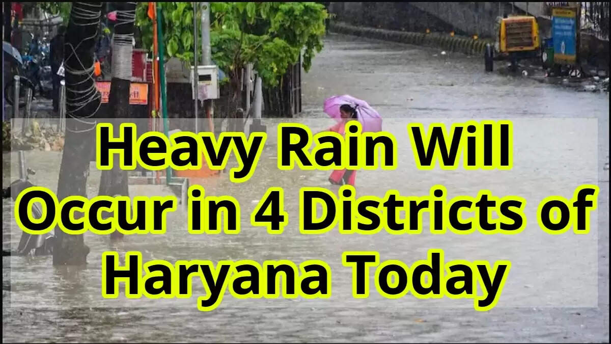 Heavy Rain Will Occur in 4 Districts of Haryana Today