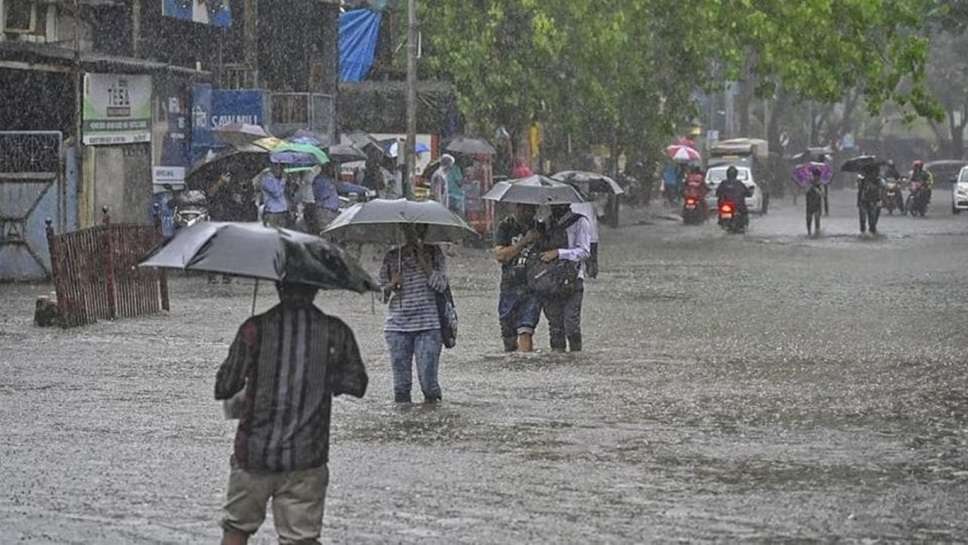 Rain alert in Haryana tomorrow, Rain alert in Punjab today, Rain alert in Haryana today, High alert in Punjab tomorrow, Weather alert in Punjab today, Red alert weather today, Weather alert in Haryana, Imd weather Forecast - Haryana