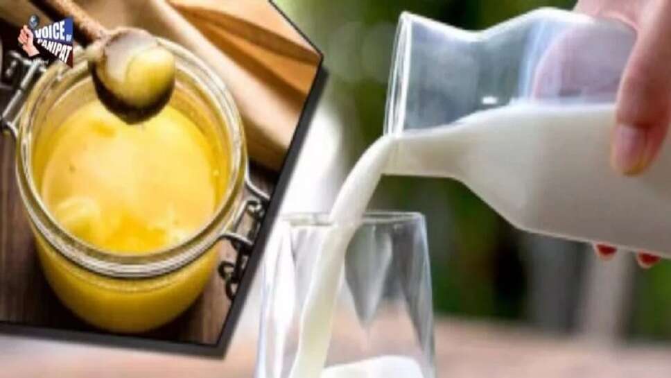 BREAKING NEWS","Dairy Milk Ghee Price Hike","JIND","Julana","MILK Ghee New Price","MILK Price Hike