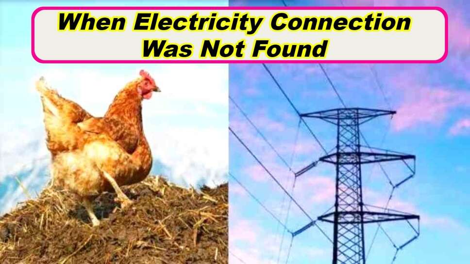 When Electricity Connection Was Not Found