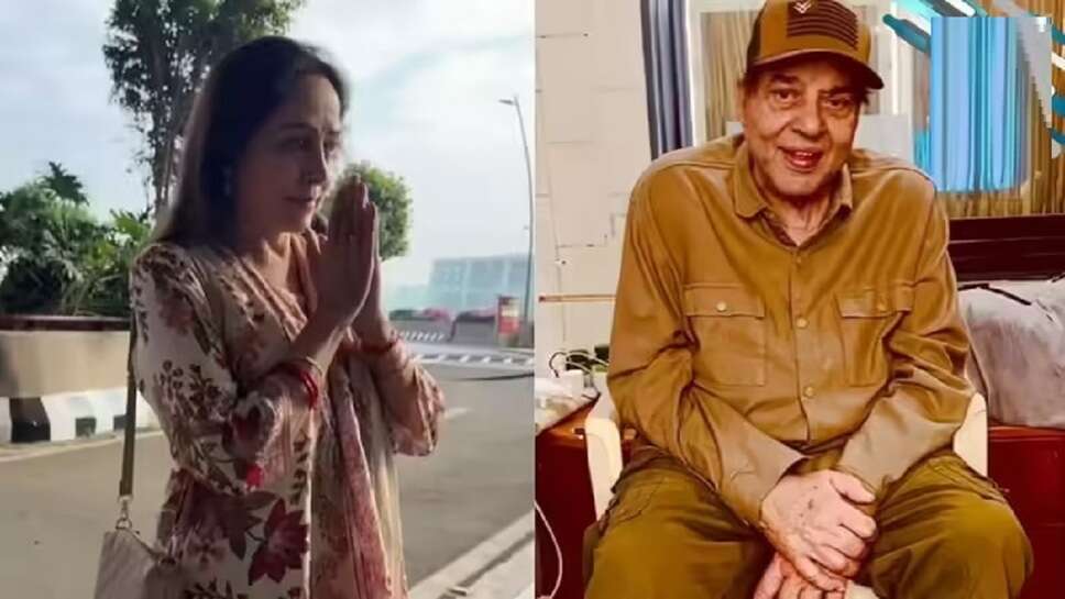 how is dharmendra now, how is dharmendra, how is amitabh bachchan, how is amitabh bachchan today, how is amitabh bachchan health, how is the weather today, how is food transported in plants, how is sabudana made, how is it