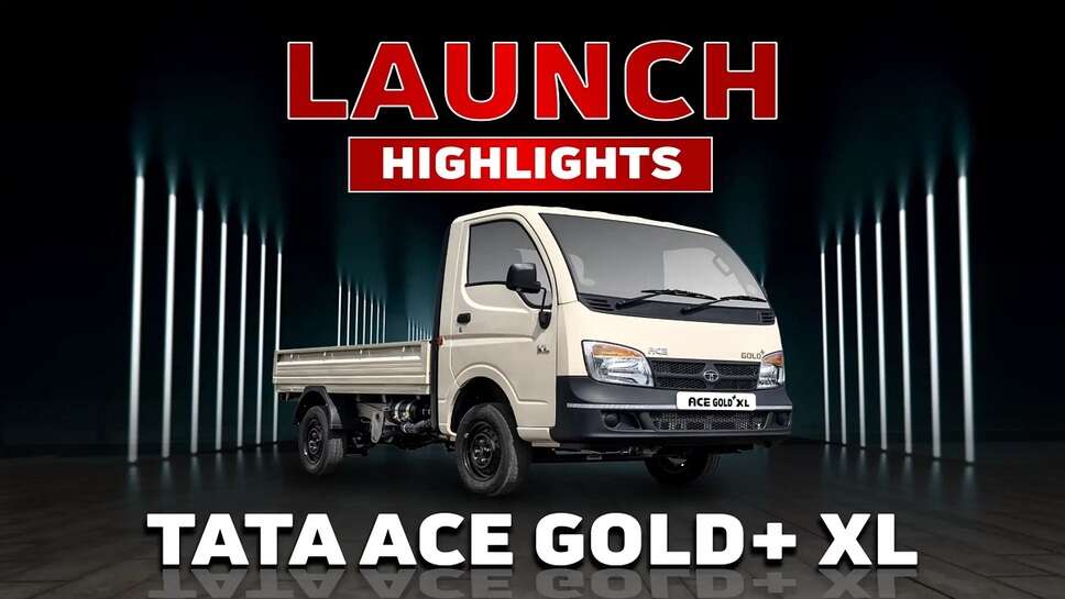 New Ace Gold+ XL